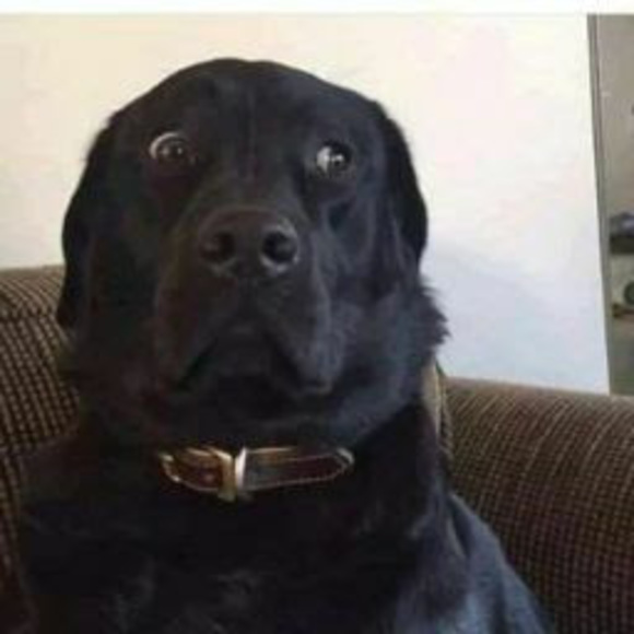 Meet your Posher, K - Picture 1 of 1